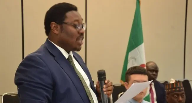 Nigeria, China set to strengthen ties through sustainable trade summit